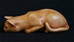 Ginger Cat
